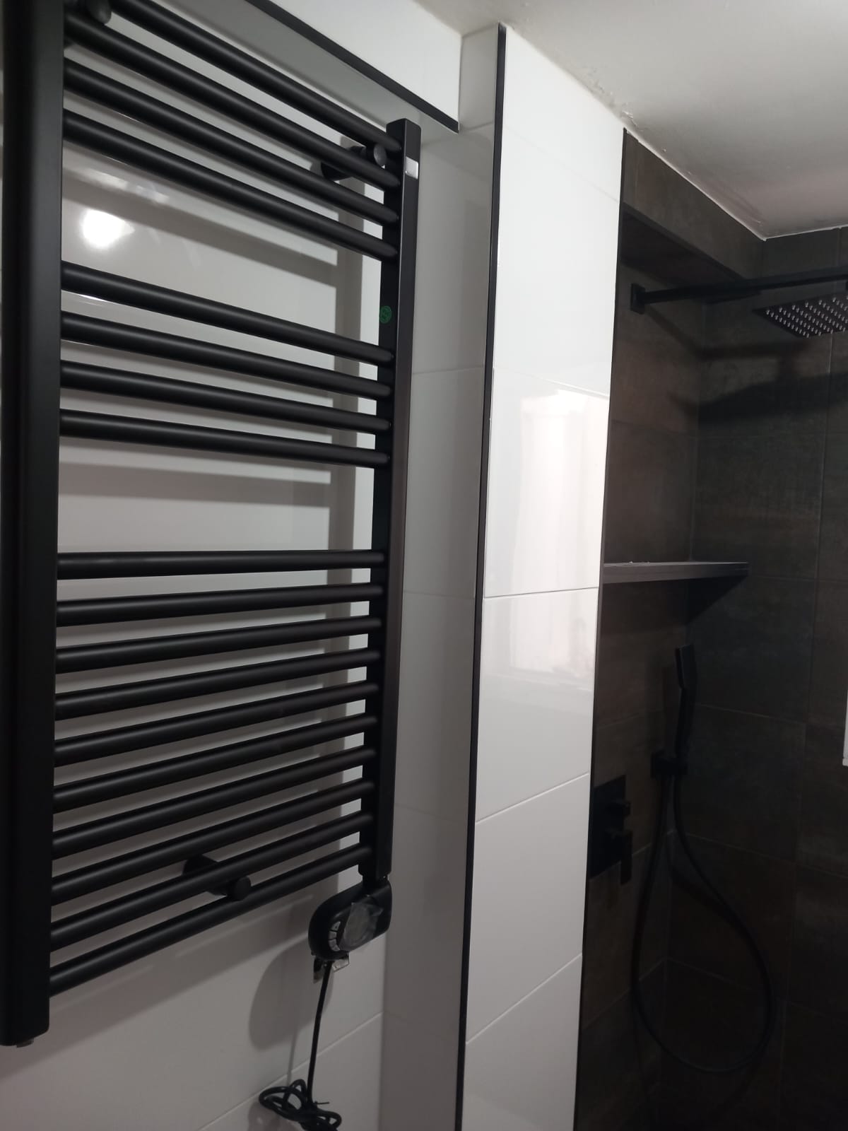 Proyecto de reforma 11