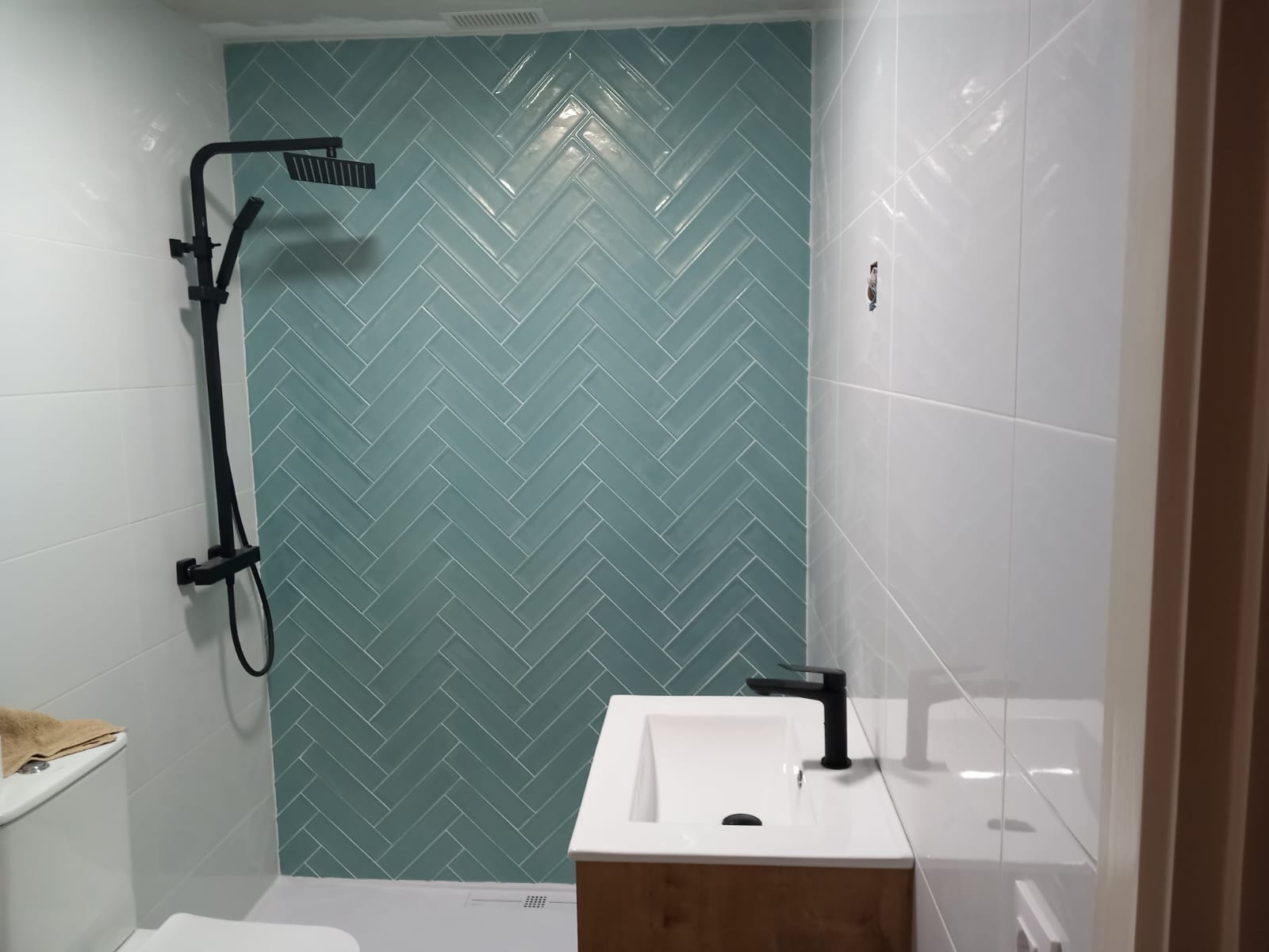 Proyecto de reforma 12