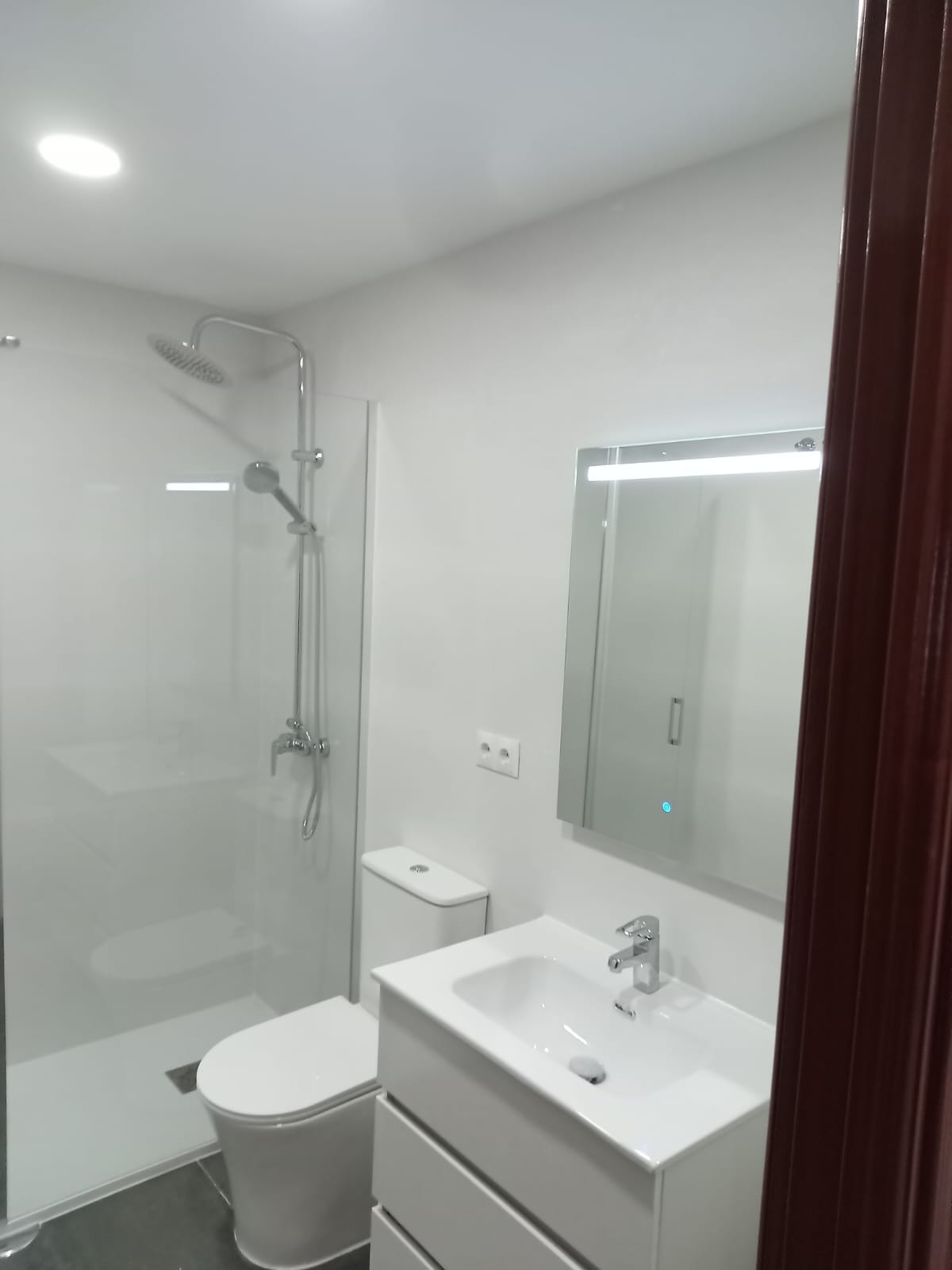 Proyecto de reforma 4